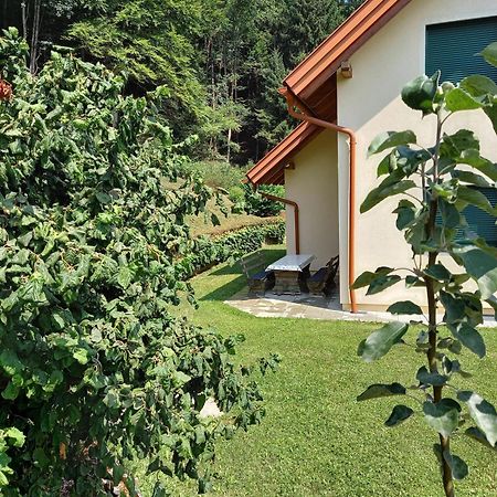Ferienhaus Manuela Velden am Wörthersee Екстериор снимка