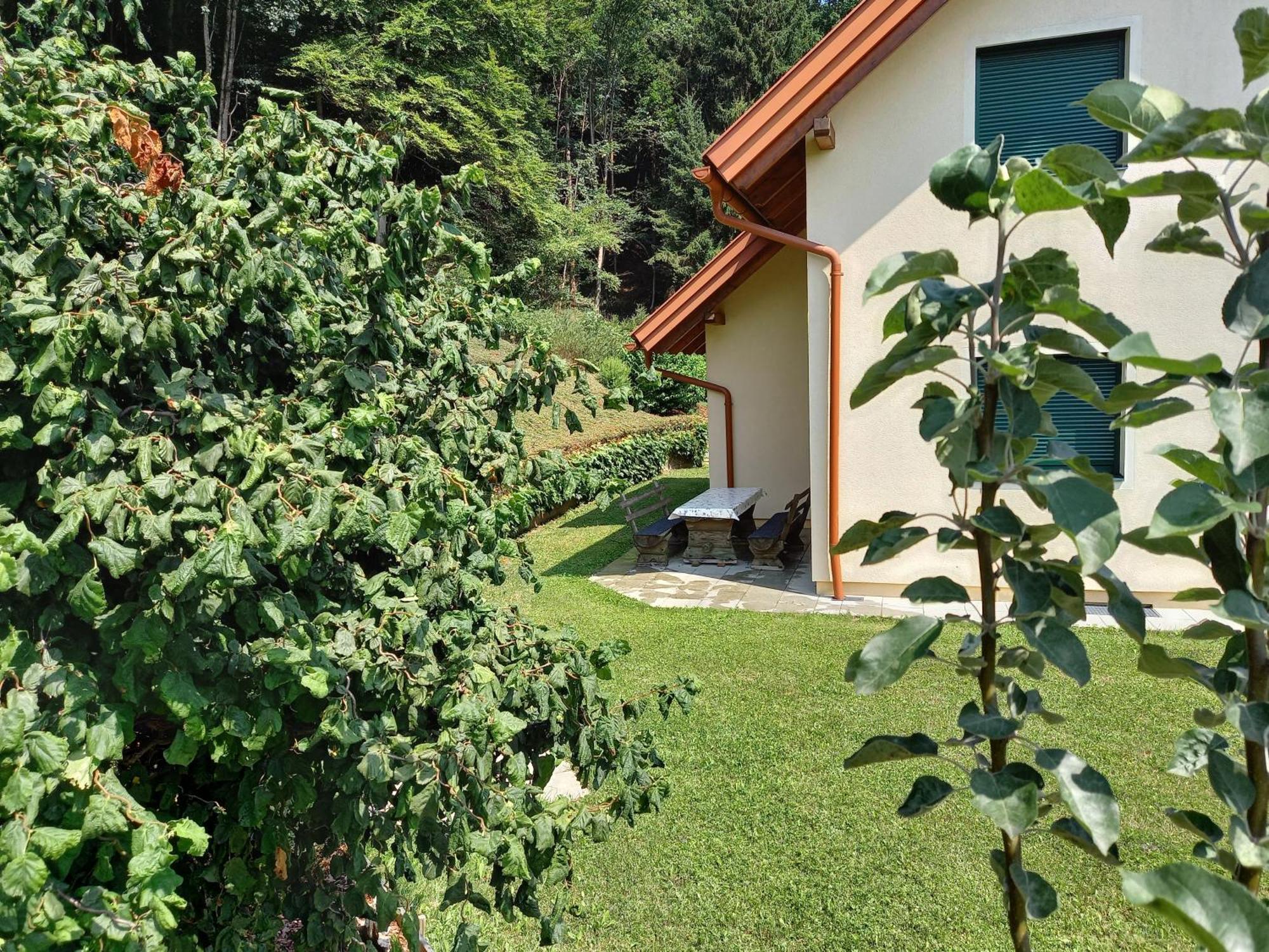 Ferienhaus Manuela Velden am Wörthersee Екстериор снимка